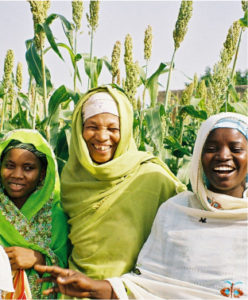 Read more about the article Job Skills & SEED Businesses for Women